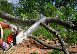 Best Lawn Irrigation Installation and Maintenance  in Cave Spring, VA