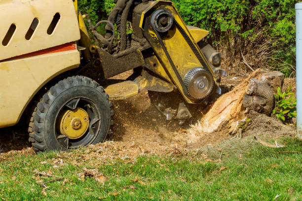 Lawn Drainage Solutions in Cave Spring, VA